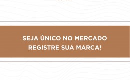 SEJA ÚNICO NO MERCADO